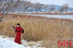 北京今冬初雪 市民乐享雪趣