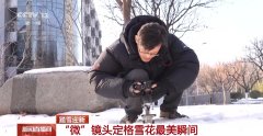 怎样给雪花拍写真？他用“微”镜头定格雪花最美瞬间