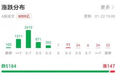 百股跌停！沪指再失2800点 大跌有何原因？机构：多看少动