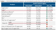 截至1月16日巴西已产糖4210万吨 同比增25.49%