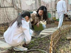 在大自然的教室里探秘生物多样性