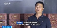 蛋价跌进“3元区”！未来价格怎么走