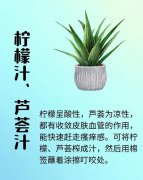 蚊子包痒不停？试试家用止痒“黑科技”！