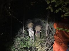 夜游鬼笑石景区，两名游客下山走野路被困，消防部门提醒