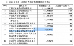 明星基金经理调仓路径曝光：葛兰、张坤、谢治宇有哪些新布局？