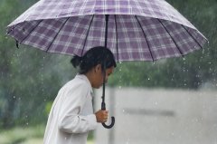 台风即将生成！预计今晚登陆！广州有暴雨→