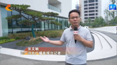 雄安未来之城场景汇·观察丨推广近零碳技术 打造绿色典范城市