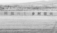 绘出乡村全面振兴“新图景”